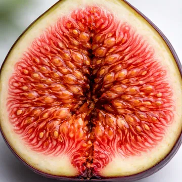 Fig